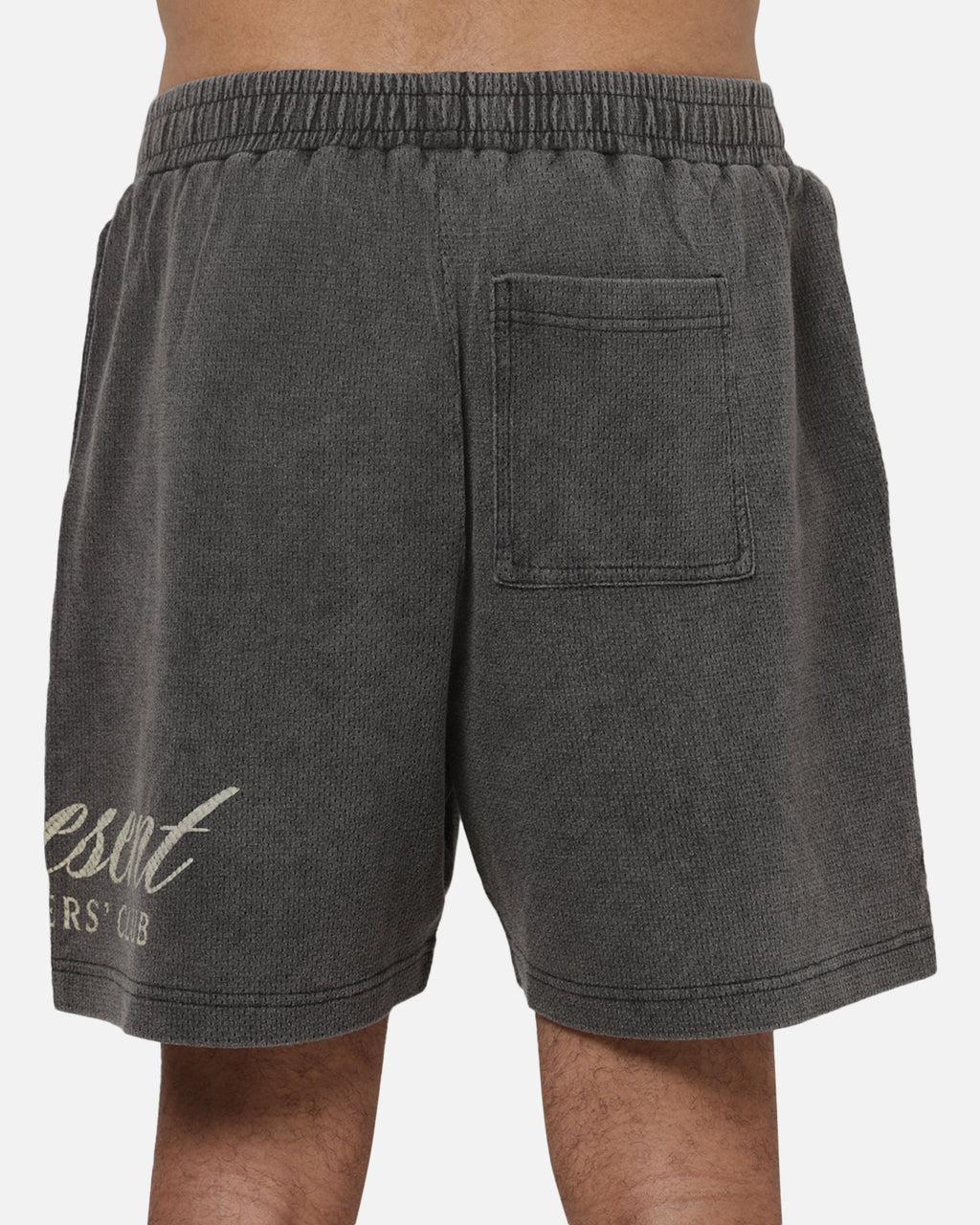 REPRESENT Represent Owners Club Script Shorts Vintage Grey